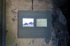 Susanne-A.PG_