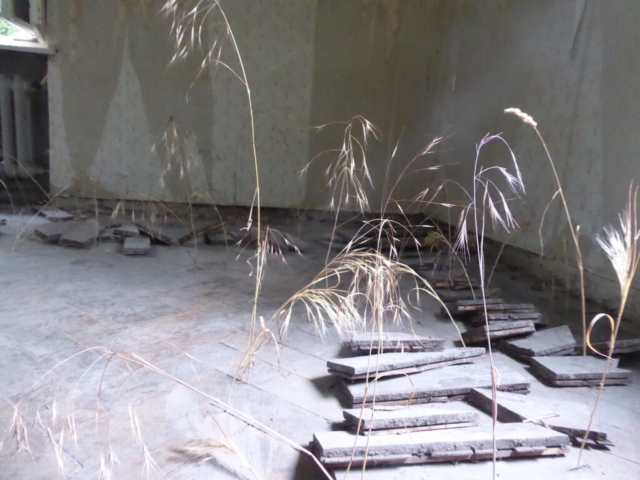 Masko Iso | Anziehung - Holz, trockene Pflanzen, Styropor, 2023
