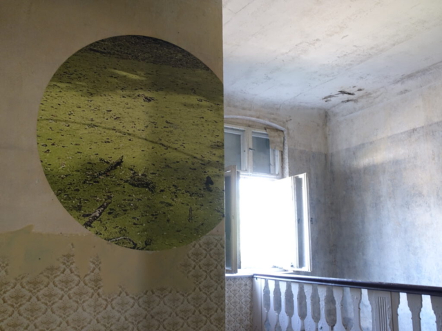 Michaela Nasoetion | Sichtfeld 360° und grüne Grütze - Rauminstallation, konvexer Spiegel (Acrylglas, 60 cm), Fotografien an der Wand (verschiedene Größen), 2023