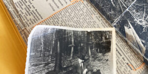 Absturz einer eng. Propellermaschine